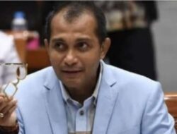 Wamenkumham Eddy Hiariej Tersangka KPK, Harta Kekayaannya Capai Puluhan Miliar Rupiah