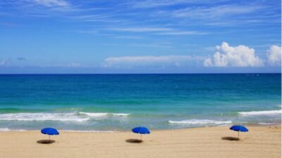 Misteri Penemuan 120 Kg Kokain di Pantai Sydney, Australia