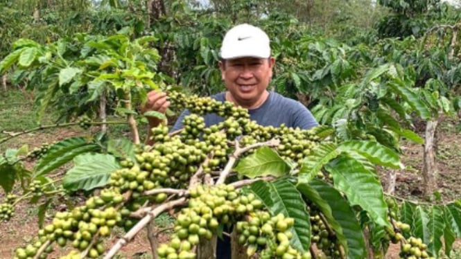 Mantan Kabareskrim Susno Duadji Beralih Profesi Menjadi Petani dan Berbagi Cerita saat Panen Biji Kopi di Kebun