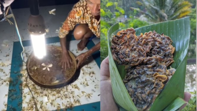 Ahli Gizi Jelaskan Fenomena Warga Wonogiri yang Membuat Peyek dari Laron yang Viral