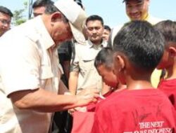 Prabowo-Gibran Mendominasi Survey Populer di Indonesia