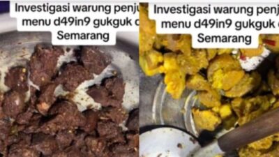 Pria Viral Melakukan Investigasi di Warung Makan, Ternyata Menemukan Penjualan Daging Anjing