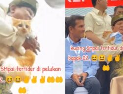 Prabowo Tertawa Bahagia Saat Melihat Kucing Oren Saat Kampanye di Batam