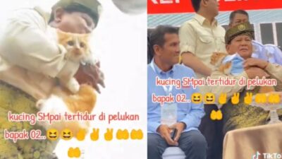 Prabowo Tertawa Bahagia Saat Melihat Kucing Oren Saat Kampanye di Batam