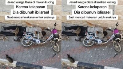 Korban Perang di Gaza Meninggal Kelaparan dan Jenazahnya Dimakan oleh Hewan-Hewan  Viral di Media Sosial