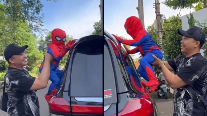 Cipung Lucu Beraksi Memakai Kostum Spiderman, Netizen Tersenyum Melihatnya