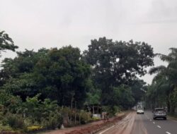 Warga Mengeluhkan Jalan Protokol di Pusat Pemerintahan Kabupaten Tangerang yang Penuh dengan Tanah Tercampur.