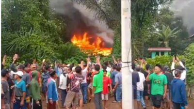 Warga Bakar Kantor TNBBS di Lampung Barat karena Teror Harimau