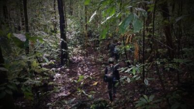 Tukang Ojek Asal Jember Tewas Ditembak Kelompok Kriminal Bersenjata di Puncak Jaya: Kronologi Kejadian