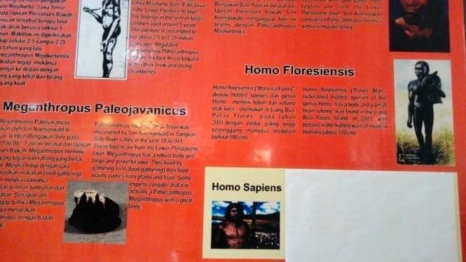 Klarifikasi Pengelola Museum Adityawarman Terkait Istilah Gay Men dan Kutipan Wikipedia Homo Sapien