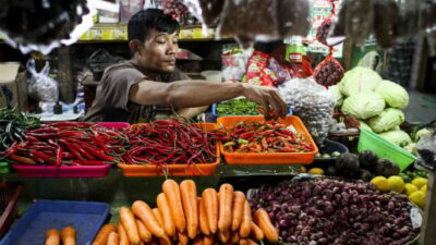 Petani Cabai Lebak Banten Menghadapi Kesulitan dalam Menjual Hasil Panen karena Harga Anjlok