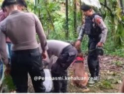 Terungkap, Wajah Pelaku yang Diduga Membunuh Nia, Penjual Gorengan