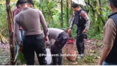 Terungkap, Wajah Pelaku yang Diduga Membunuh Nia, Penjual Gorengan