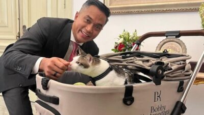 Bobby Kertanegara’s Cat Stroller for Prabowo’s Beloved Cat Gains Attention, Price Equivalent to a Secondhand Motorbike