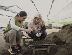 Pohon Jampinang dan Semangat Pancasila di Yayasan Paseban, Megamendung