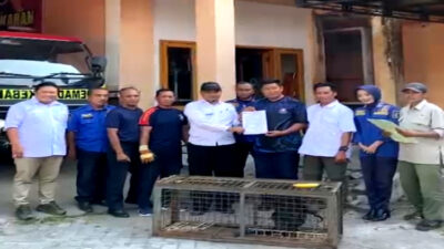 Momen Unik: Dankar Bondowoso Serahkan Lutung Jawa ke BKSDA Banyuwangi