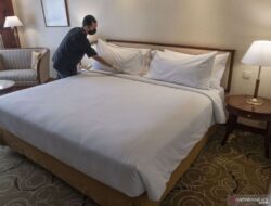 5 Tanda Kutu Kasur Sudah Menyerang Tempat Tidur Anda