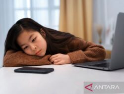 6 Tips Ampuh Atasi Rasa Ngantuk Saat Belajar